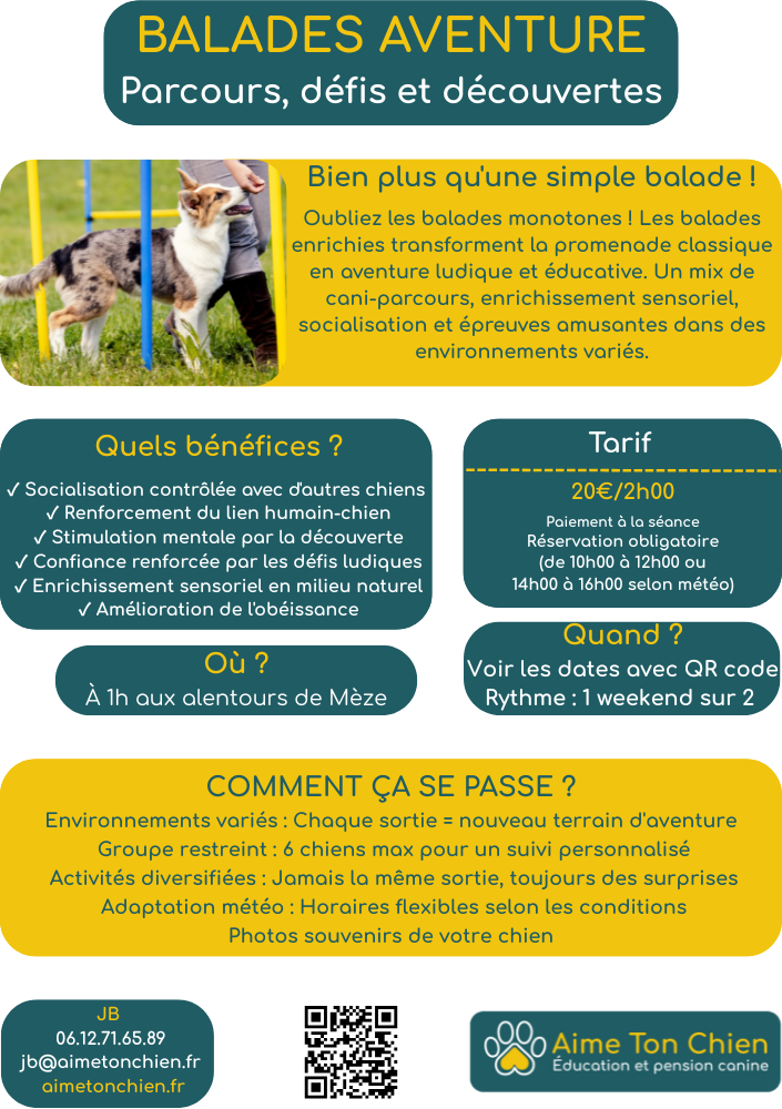 balade chien aventure