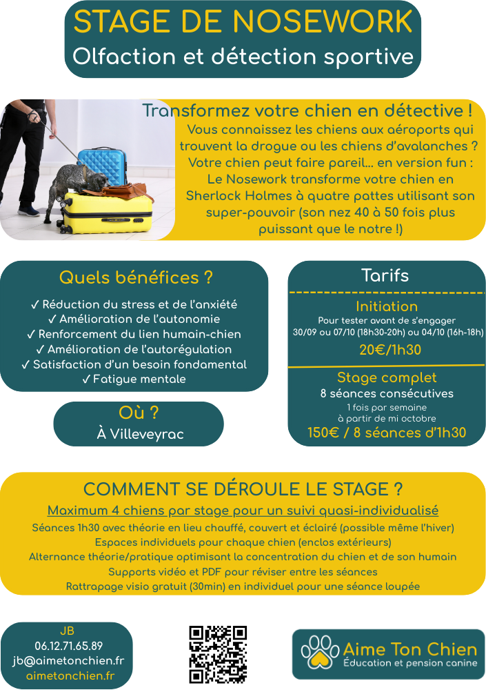 descriptif de l'activité nosework